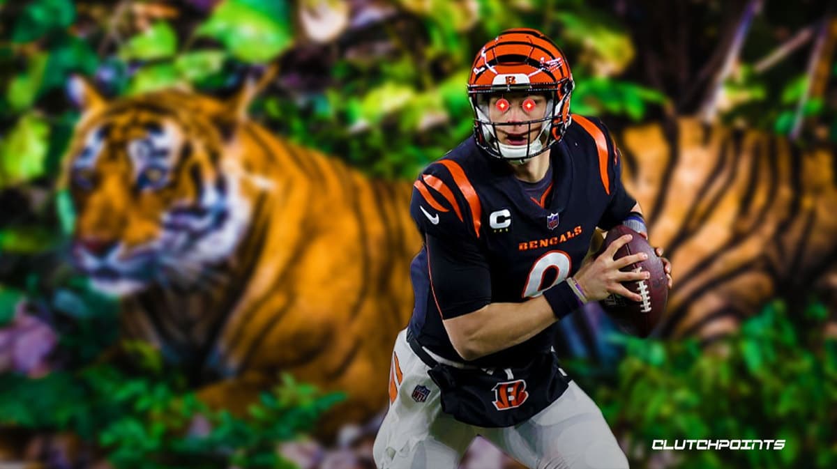 Bengals, Joe Burrow, Ravens
