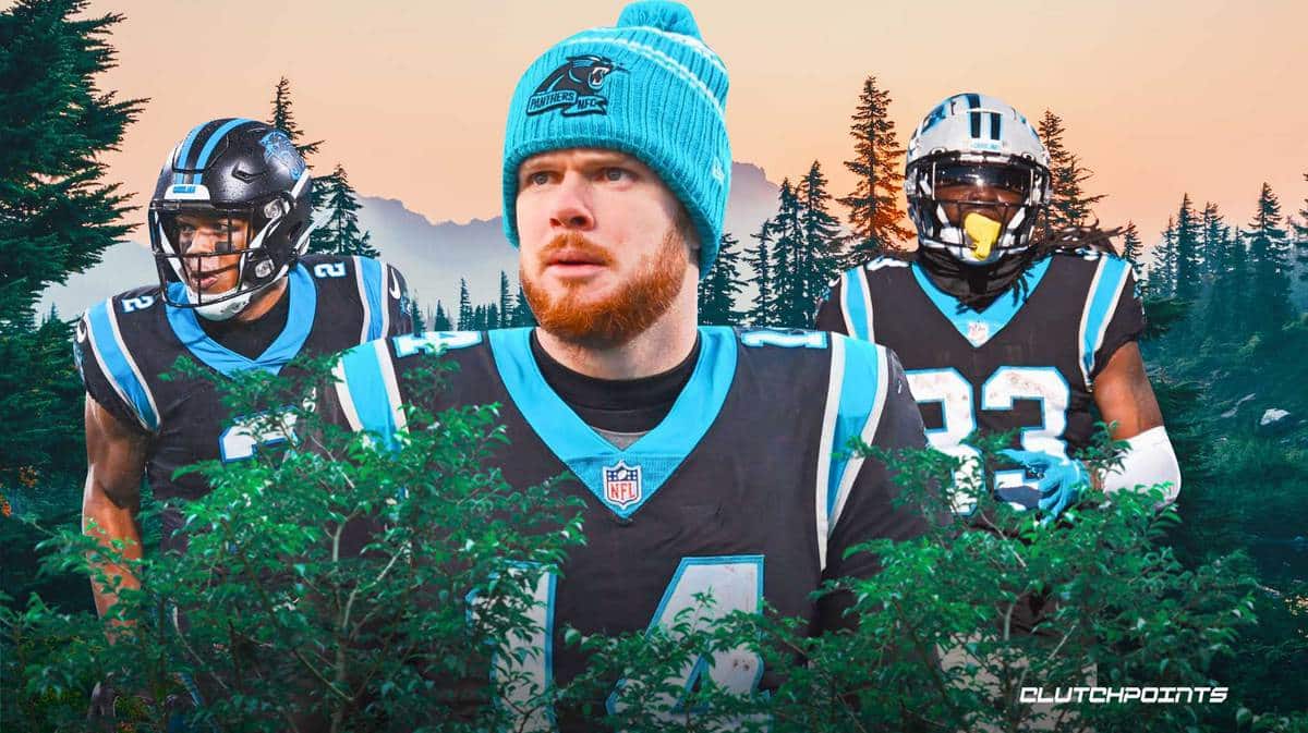 Carolina Panthers, Week 18, New Orleans Saints