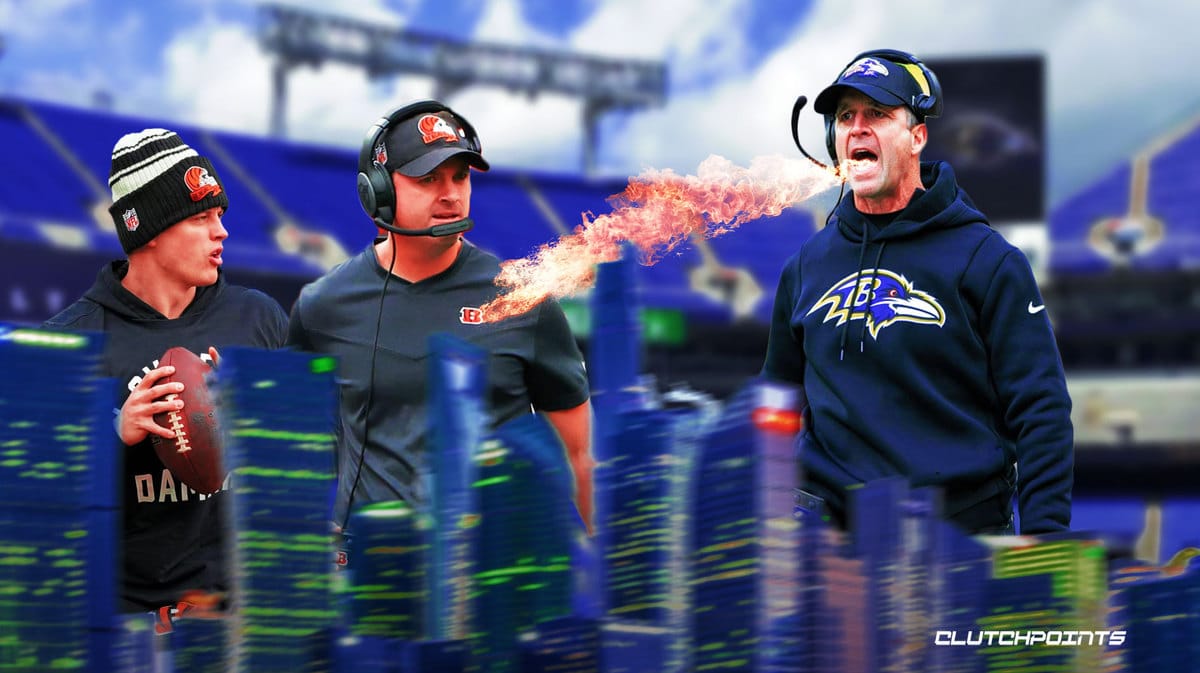 Ravens, Bengals, John Harbaugh