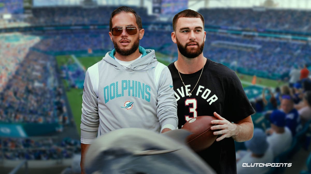 Dolphins