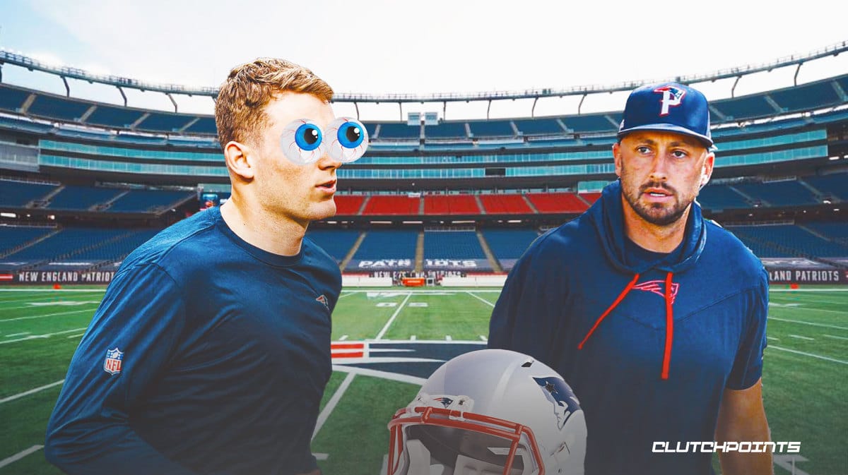 Brian Hoyer, Patriots