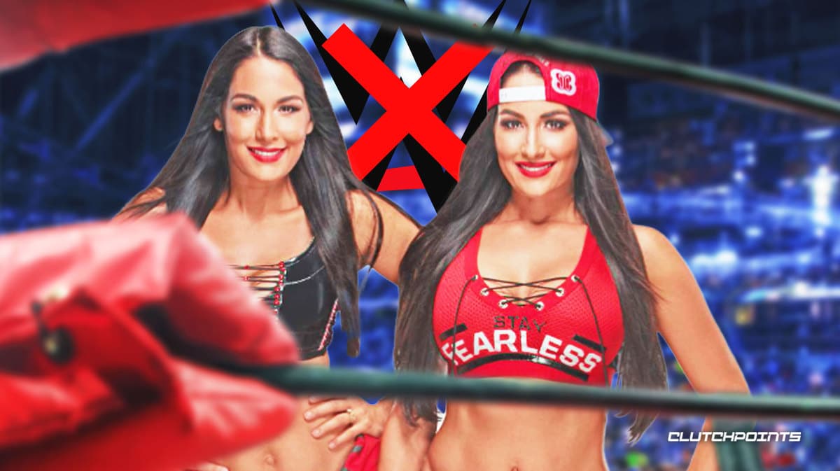 WWE, Bella Twins, Nikki Bella, Brie Bella, RAW XXX