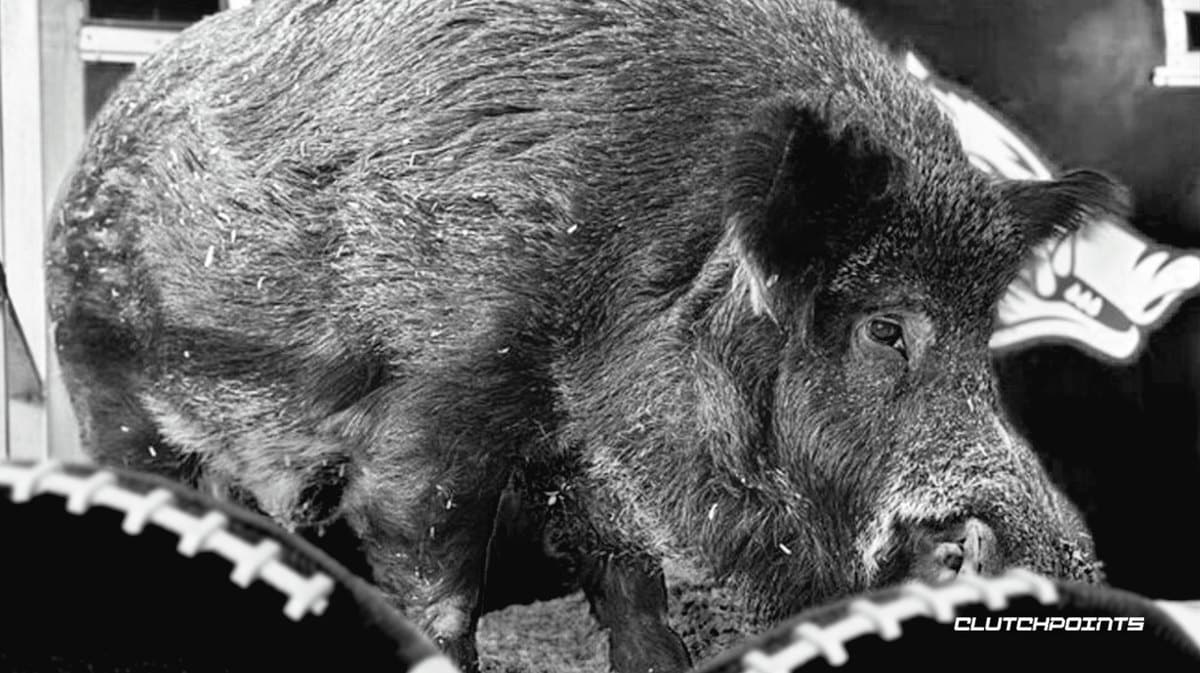 Tusk V, Arkansas football