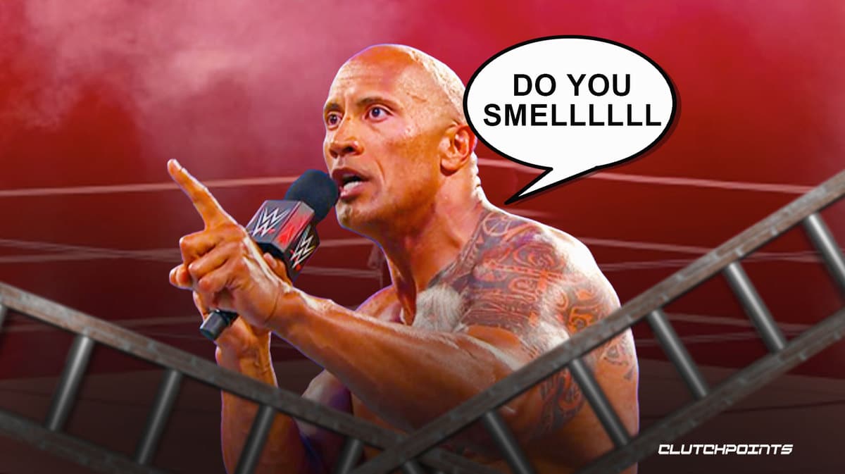 the rock, wwe