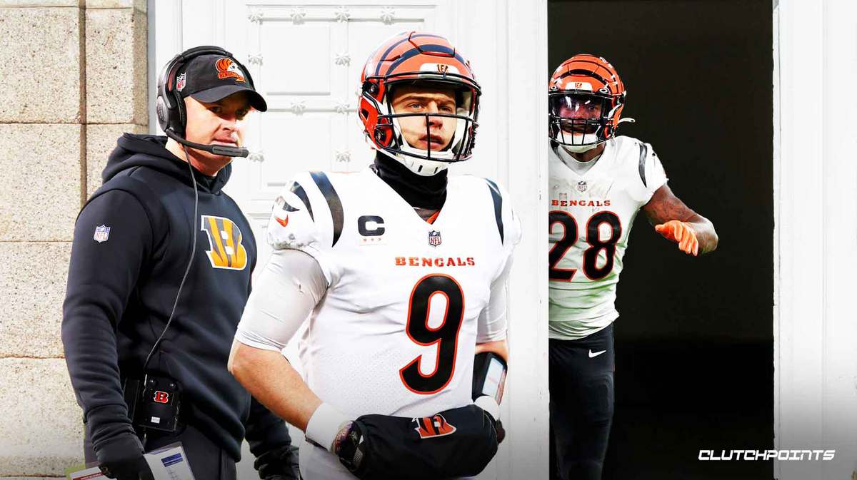 Bengals, Bengals roster, Joe Burrow, Joe Mixon, NFL offseason