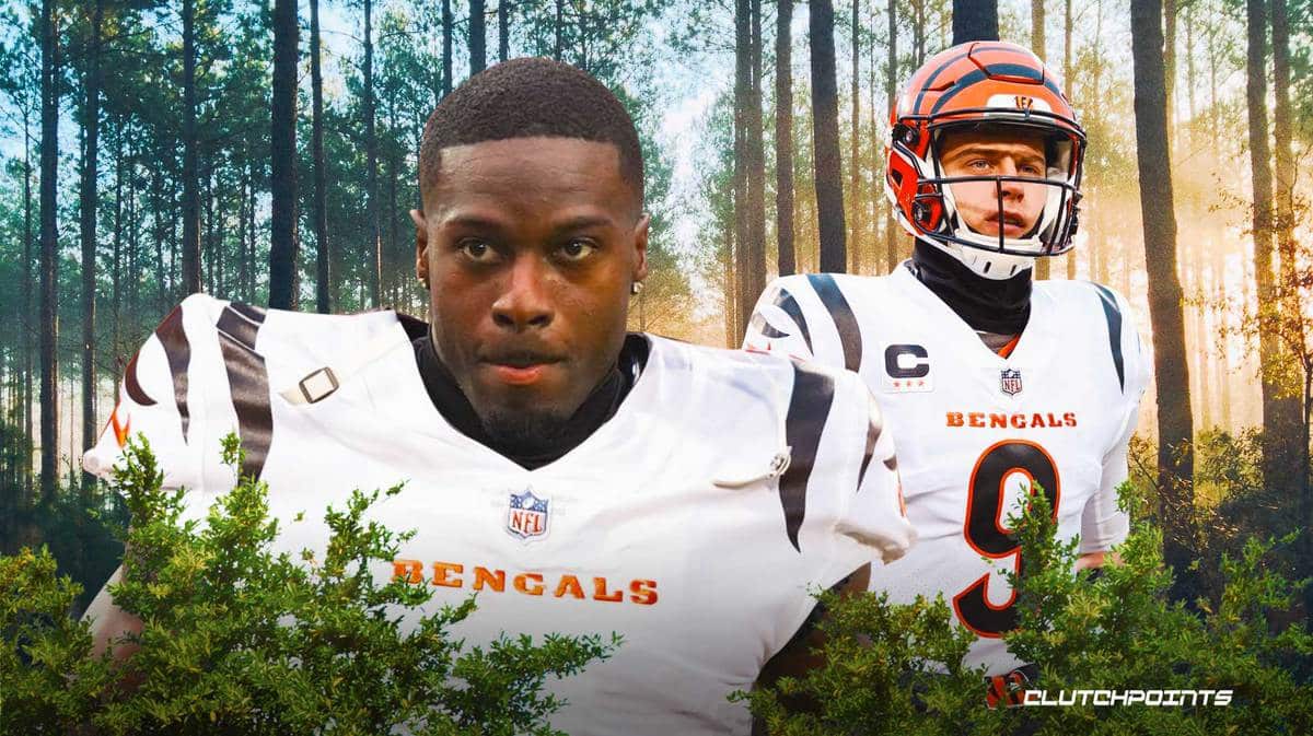 AJ Green, Cincinnati Bengals,