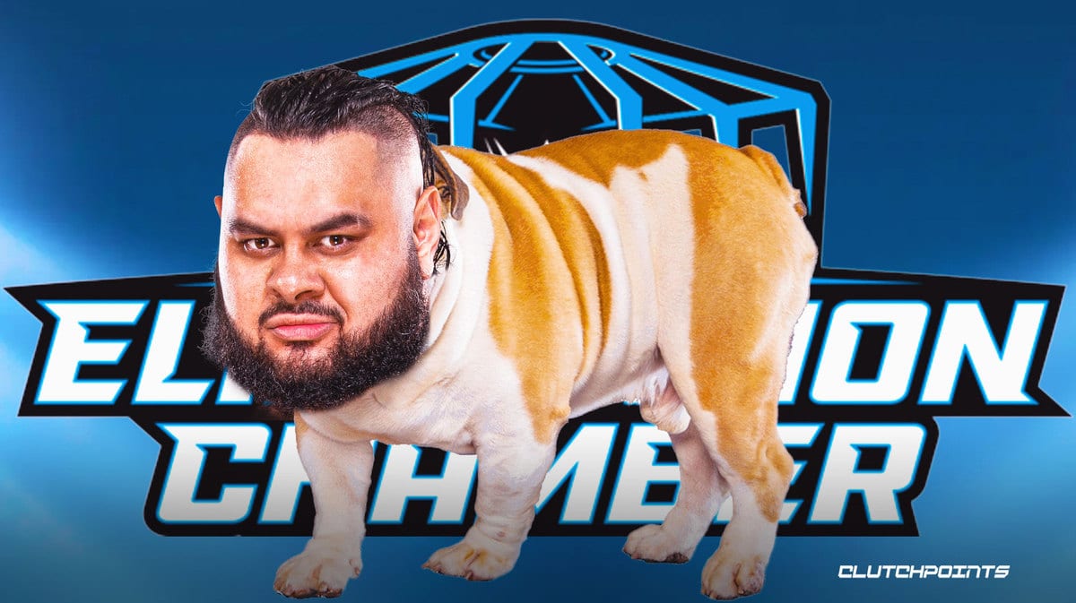 Bronson Reed, Seth Rollins, WWE, New Japan Pro Wrestling, Elimination Chamber,