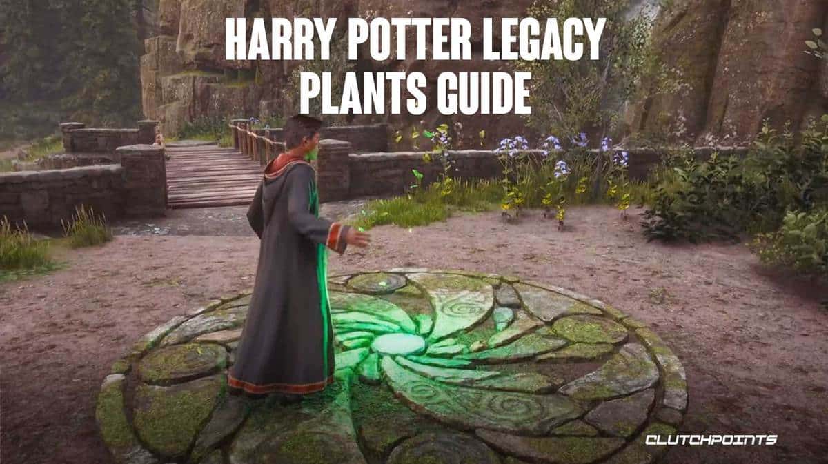 Hogwarts Legacy Potion Guide: Ingredients & Herbology