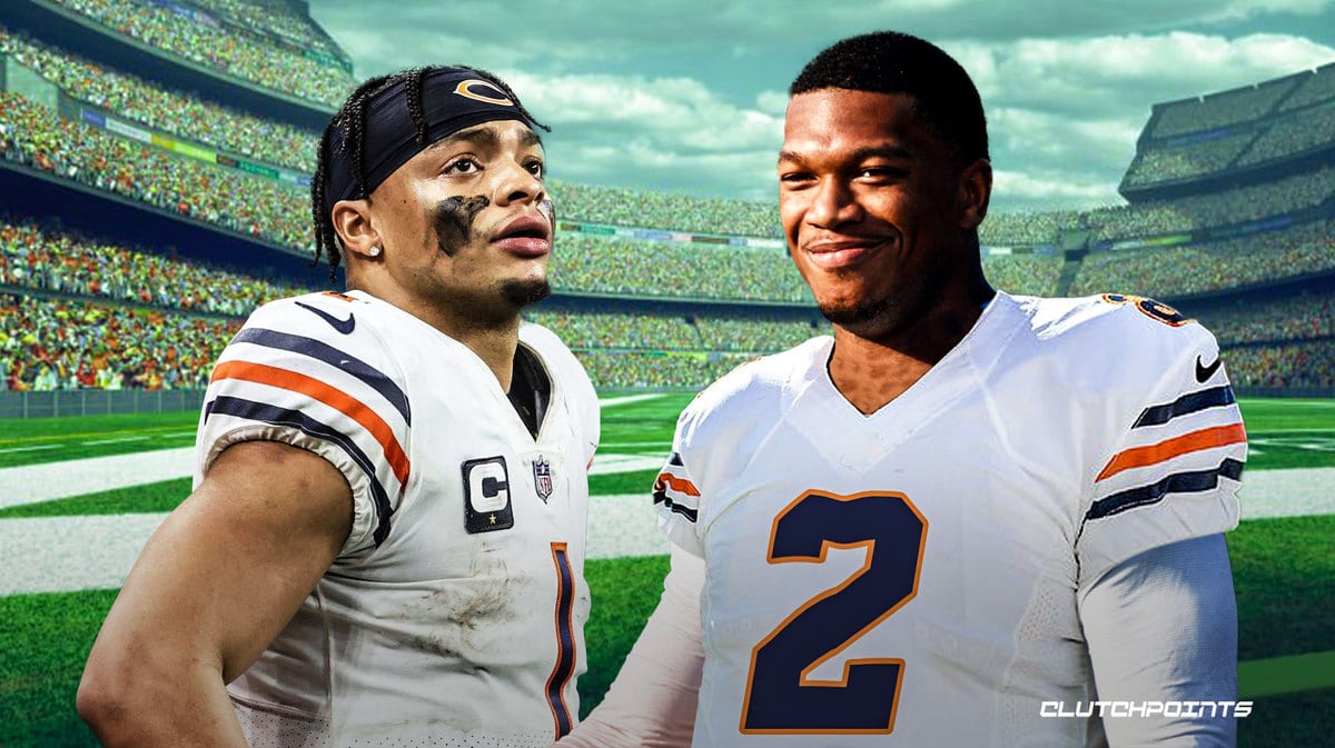 Panthers, Bears