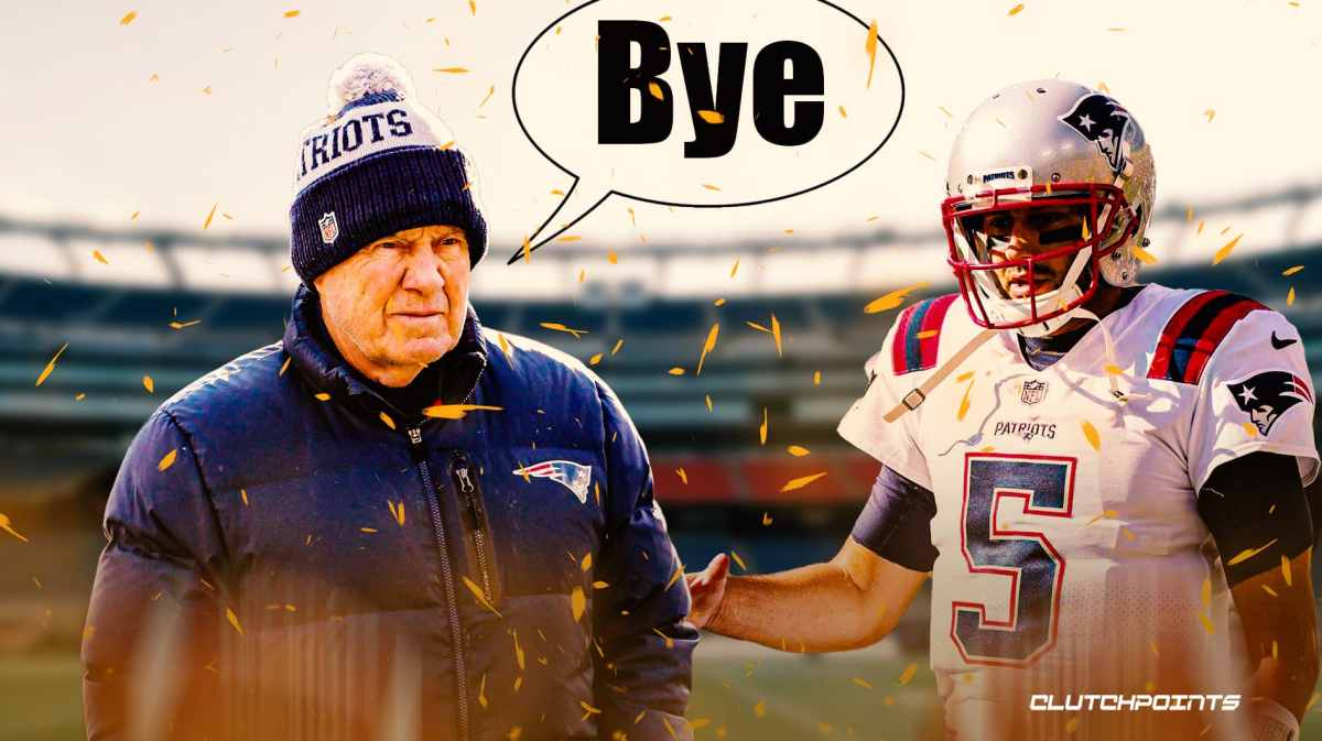 Brian Hoyer. Bill Belichick, New England Patriots