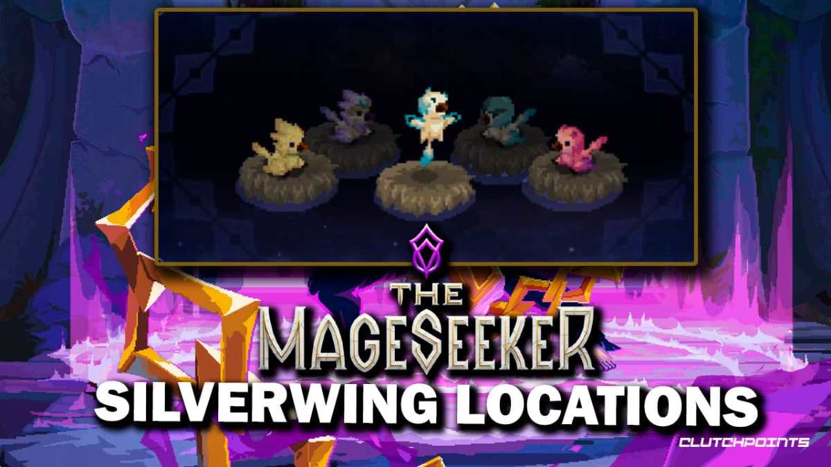 silverwing mageseeker, where to find silverwing, silverwing llocations mageseeker, mageseeker