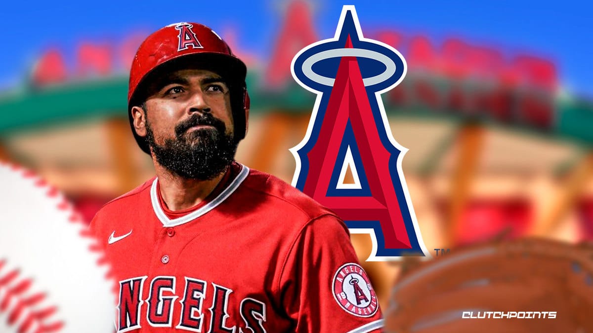 Angels, Anthony Rendon, Anthony Rendon suspension, Anthony Rendon altercation, Anthony Rendon fan altercation