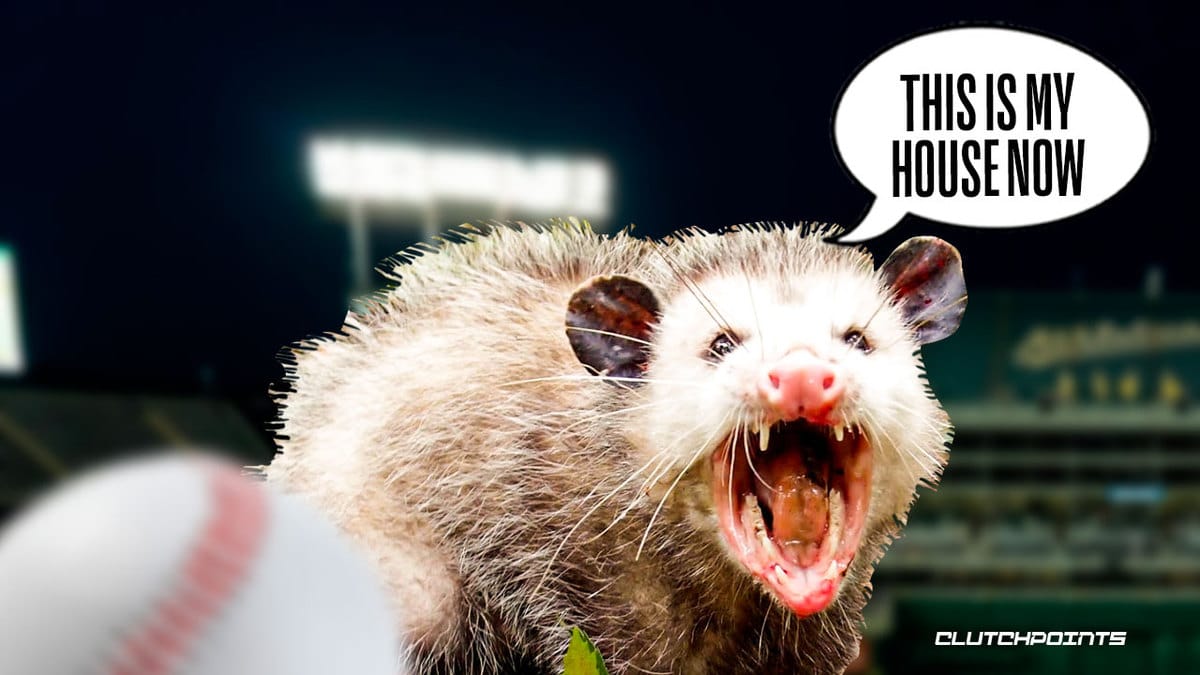 Athletics, A's, Oakland Coliseum, Mets, possum