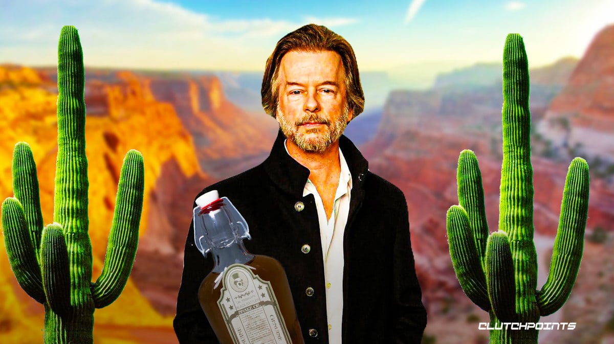 David Spade, Will Arnett, Snake Oil, FOX, LEGO