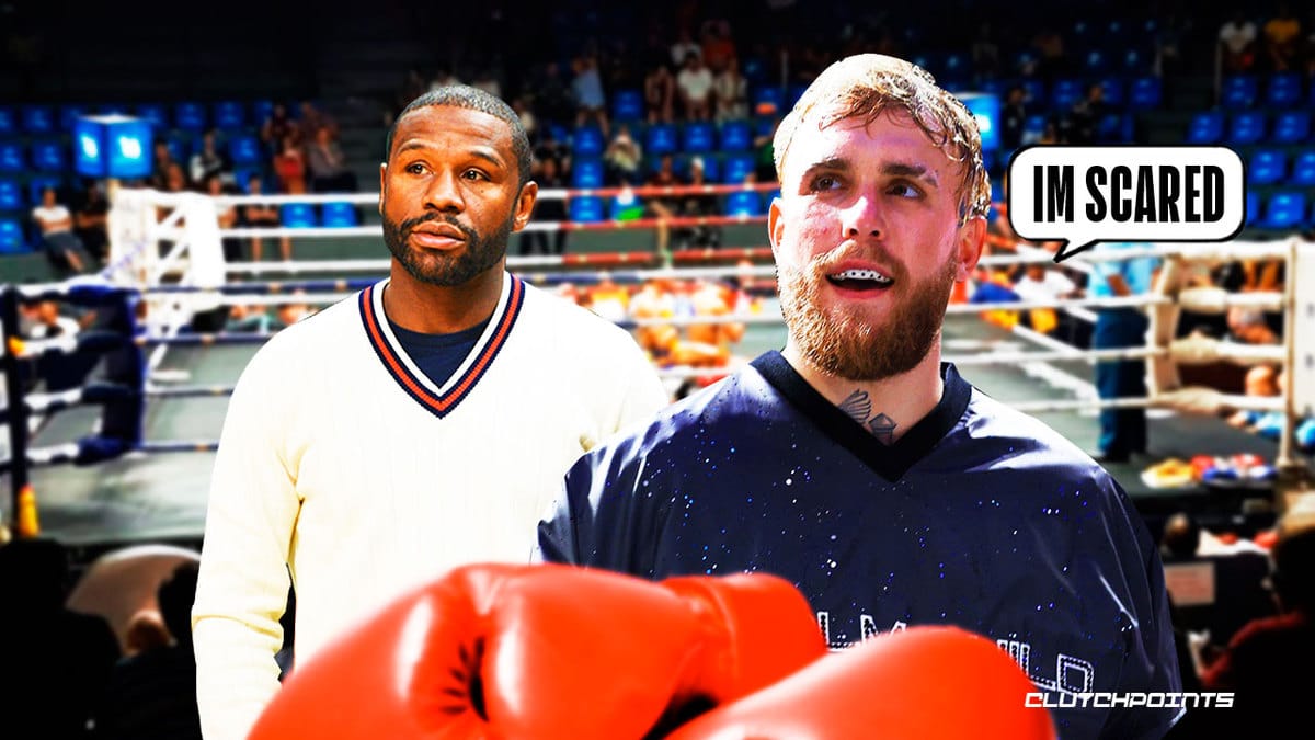 jake paul, floyd mayweather, jake paul mayweather, floyd mayweather jake paul