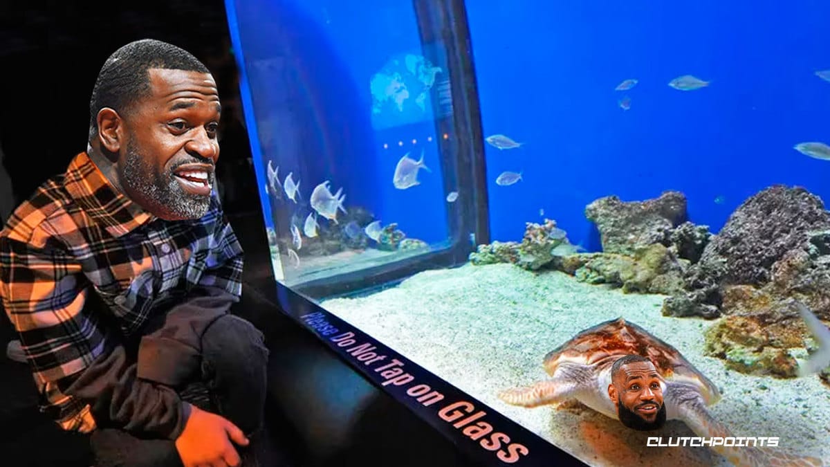 LeBron James Lakers Stephen Jackson