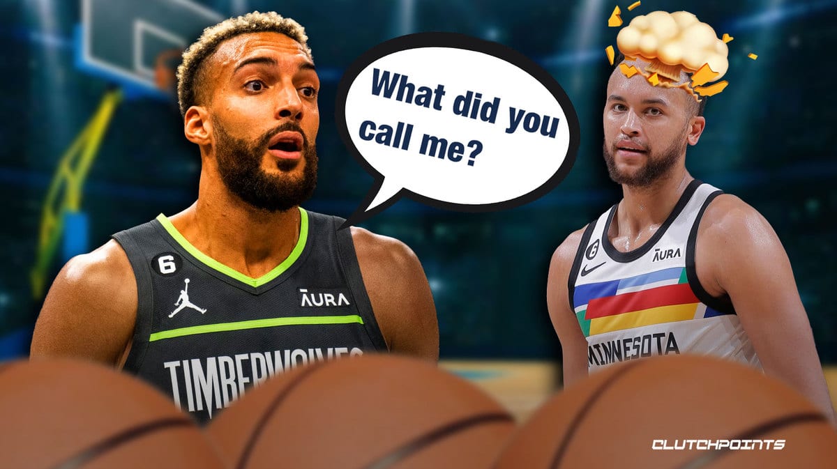 Kyle Anderson, Rudy Gobert, Minnesota Timberwolves, Rudy Gobert punch
