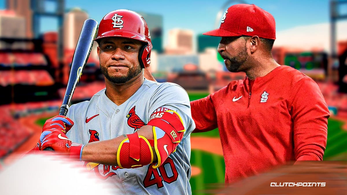 Willson Contreras, St. Louis Cardinals, Oli Marmol