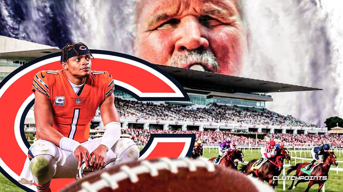 Chicago Bears, Soldier Field