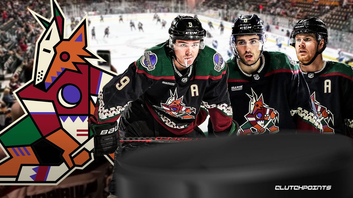 Coyotes, Coyotes arena, Coyotes relocation, Houston NHL, Gary Bettman
