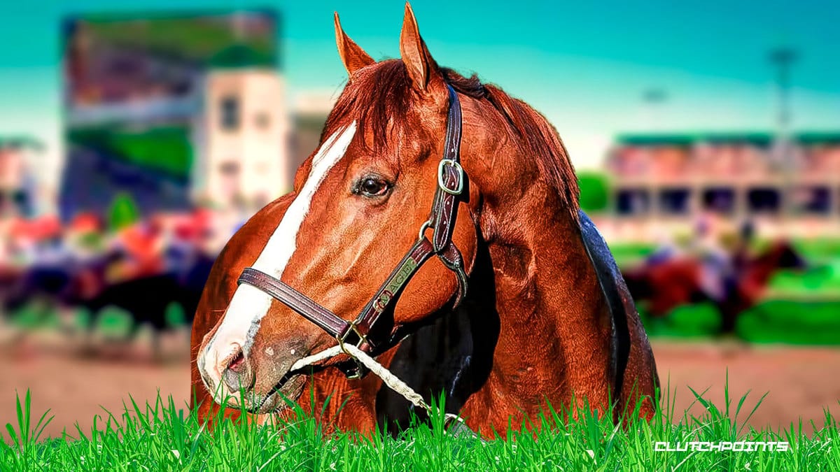 Mage, Preakness Stakes