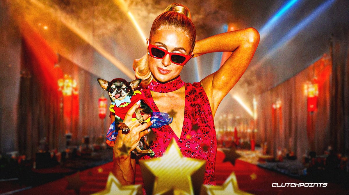 Paris Hilton chihuahua, Harajuku Bitch