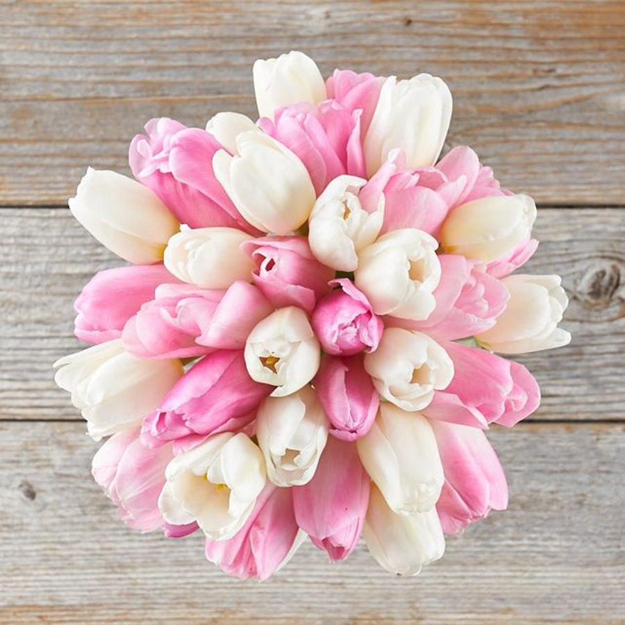 The Bouqs Co. Luxe romantic pink and white tulips on a wooden table.