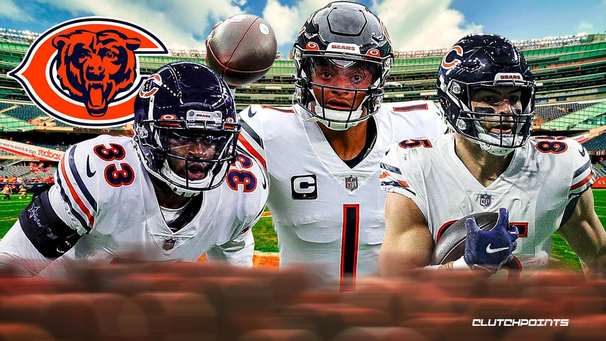 Bears