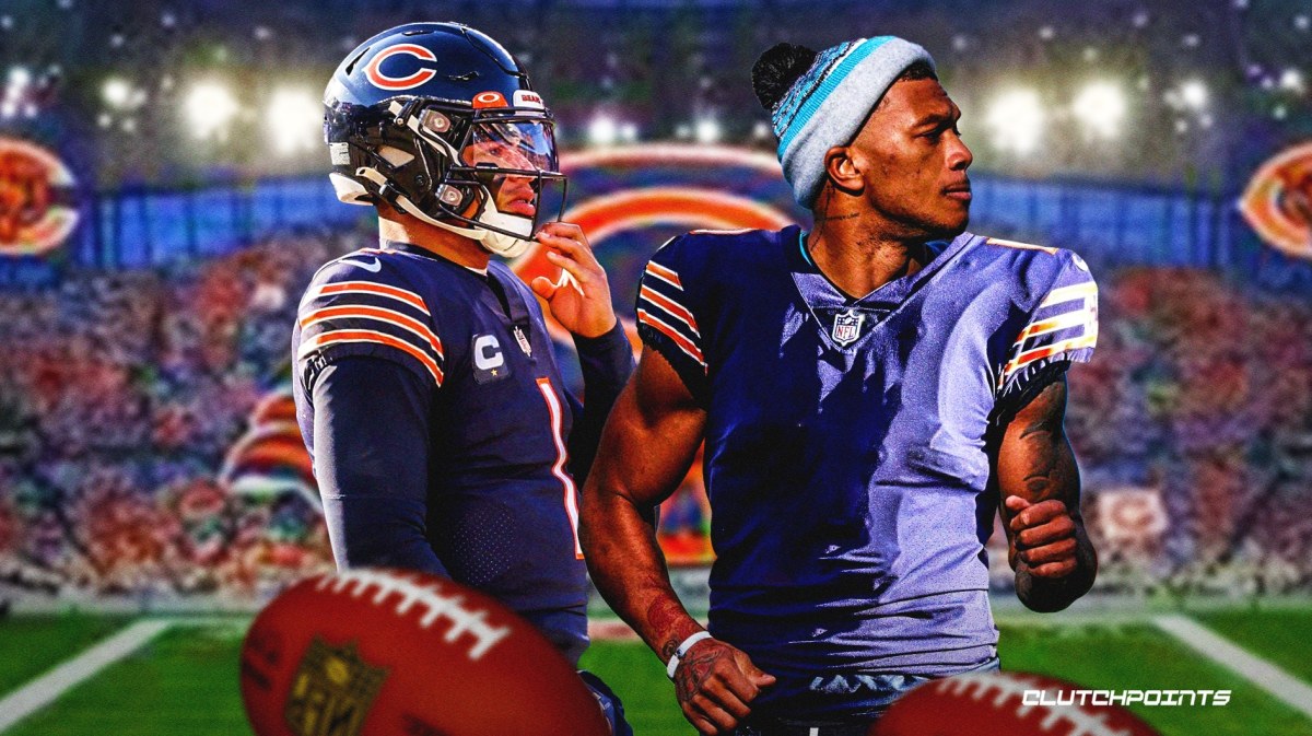 Bears