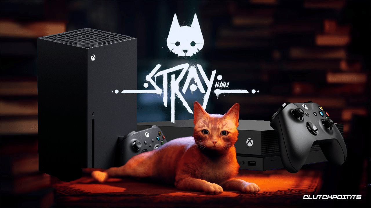 Stray komt mogelijk binnenkort naar Xbox