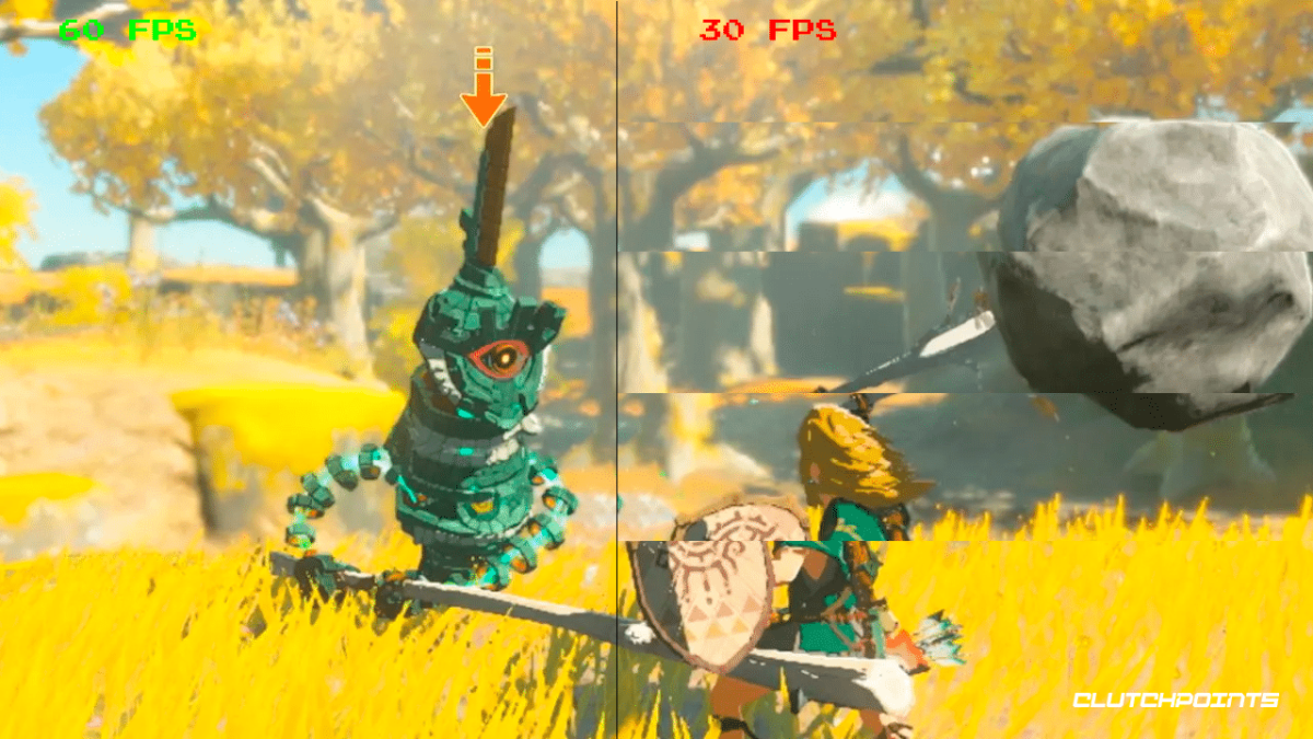 Tears of the Kingdom 60 FPS Mod