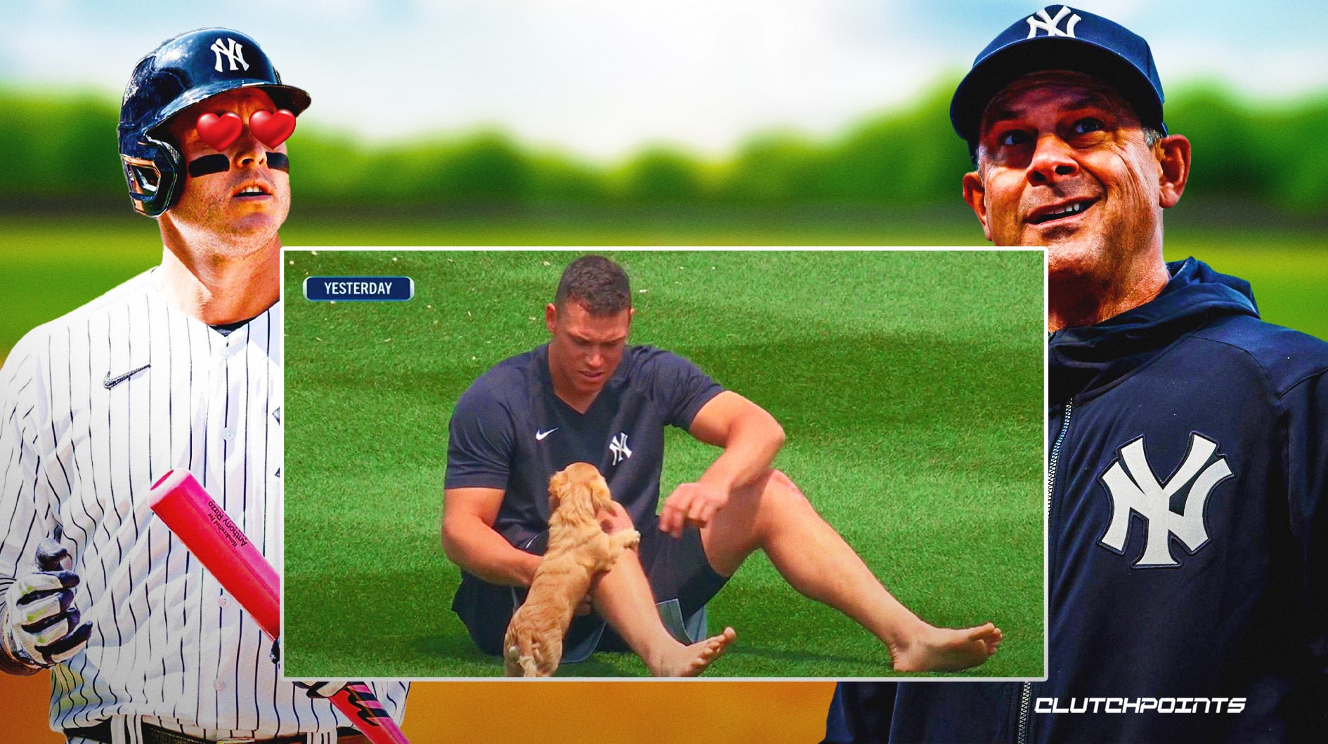 Aaron Judge surprises fans by bringing his dog Gus out at Yankee