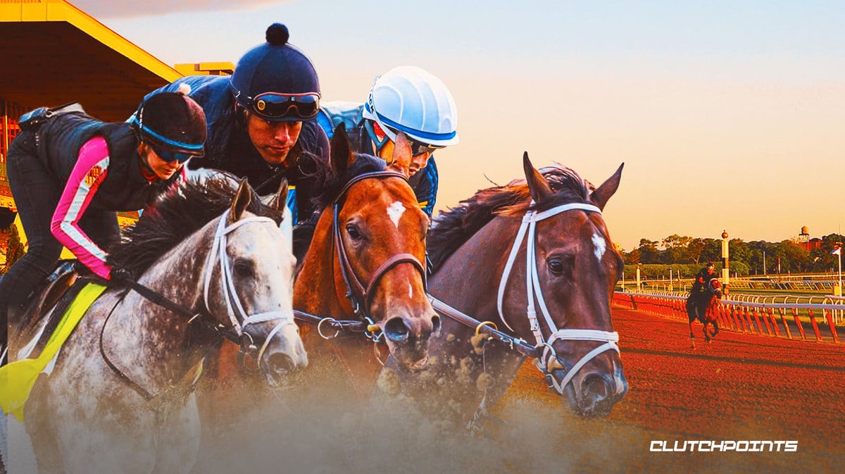 2023 Belmont Stakes odds prediction National treasure Triple Crown