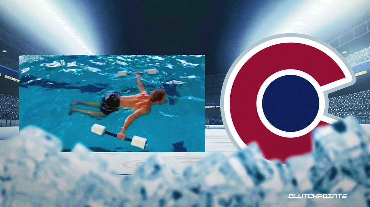 Gabriel Landeskog, Colorado Avalanche, NHL