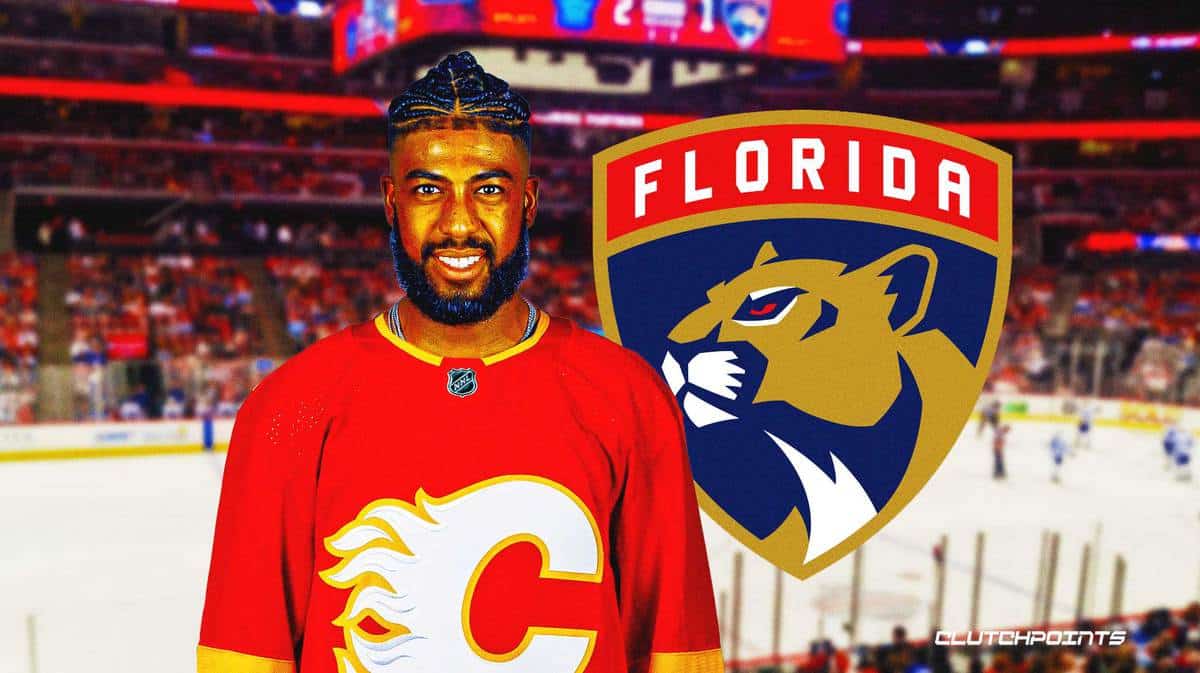 115 Florida Panther Fans Stock Photos, High-Res Pictures, and