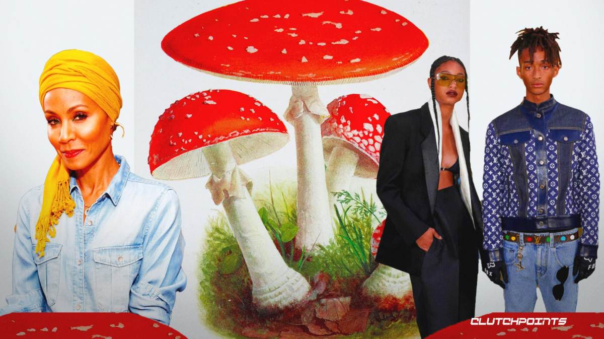 psychedelics, Jaden Smith, Jada Pinkett Smith