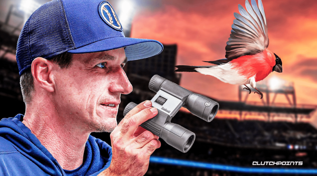 Milwaukee Brewers, Tyler O'Neill, Craig Counsell