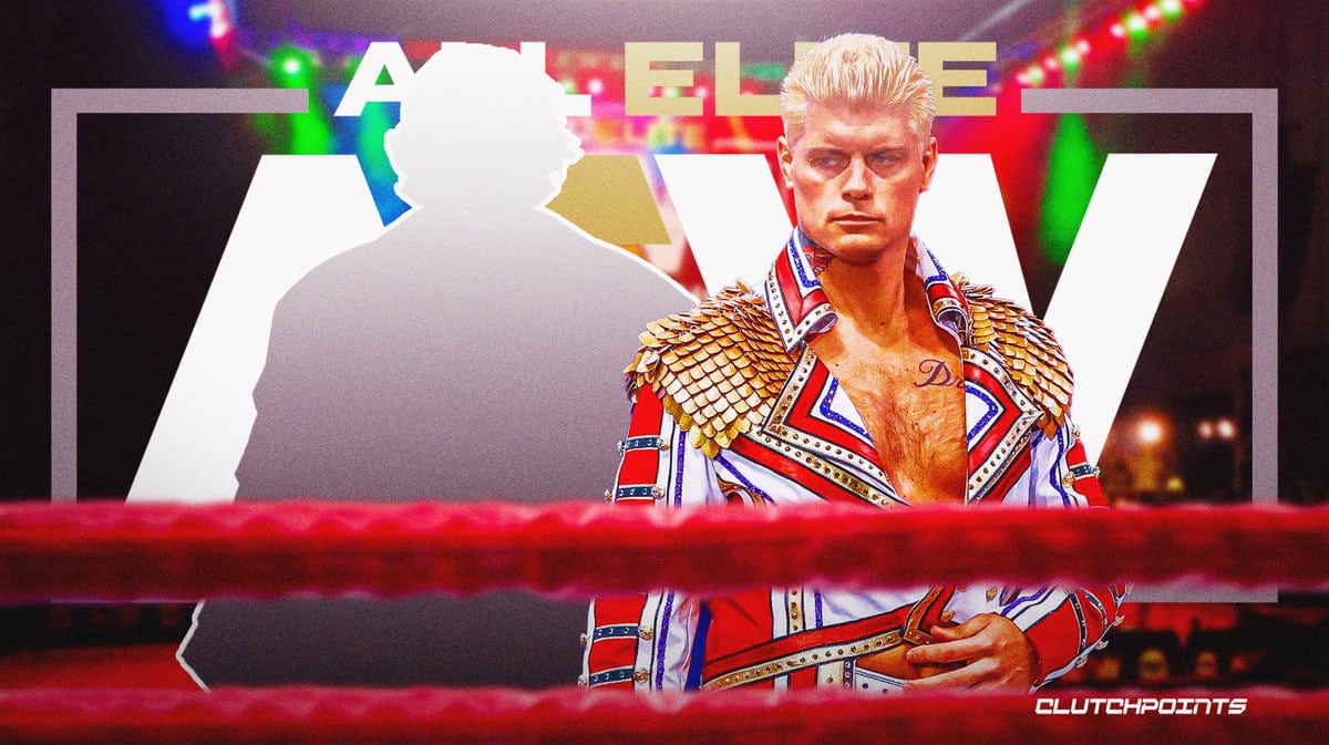 Cody Rhodes, WWE, Sting, Paul "Triple H" Levesque, AEW,