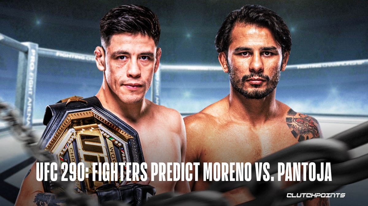 Brandon Moreno, Alexandre Pantoja, UFC 290