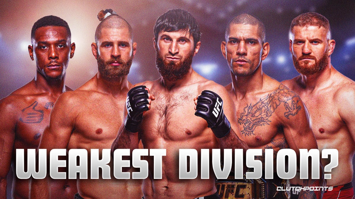 UFC, light heavyweight