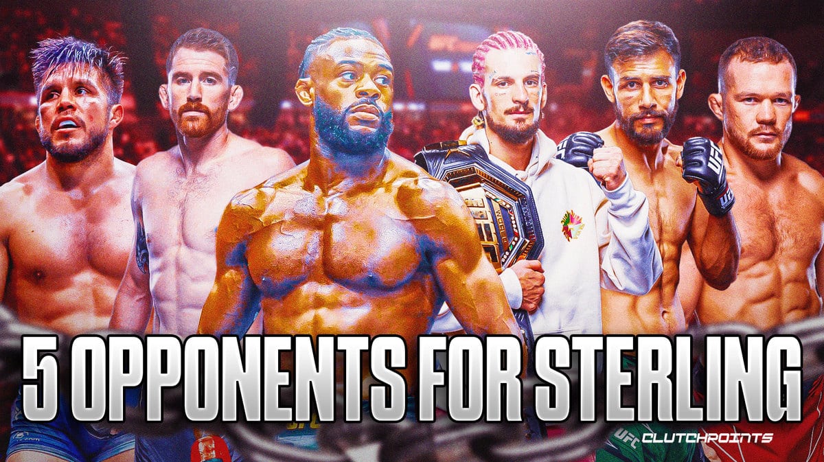 Aljamain Sterling, UFC 292, UFC