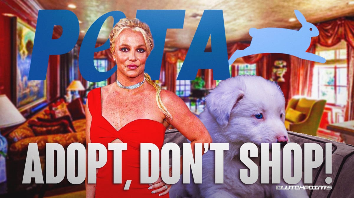 britney spears puppy PETA, britney spears PETA