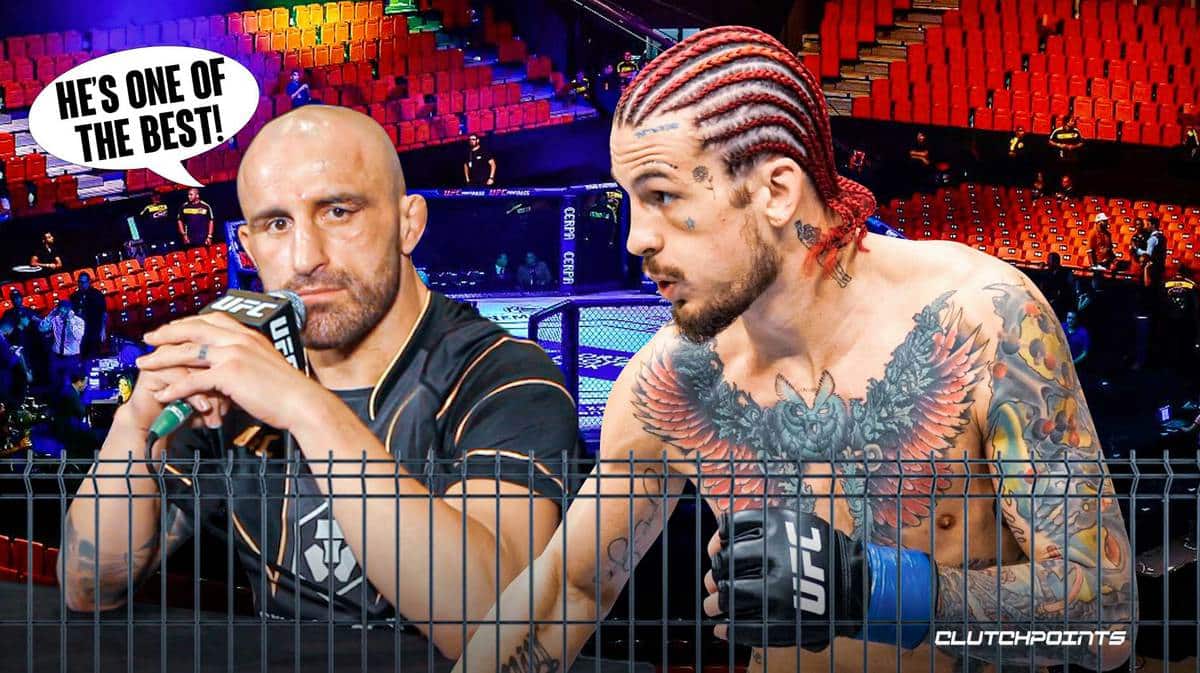Sean O'Malley, Alexander Volkanovski