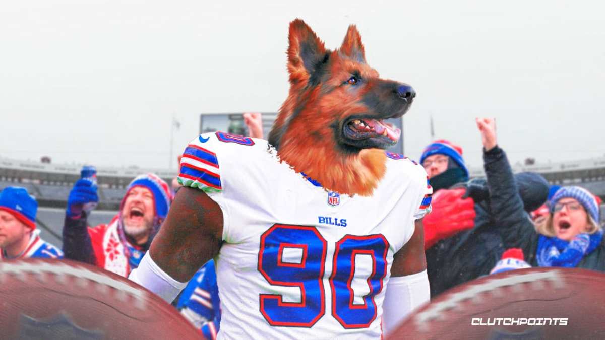 Shaq Lawson, Bills, Shaq Lawson Bills