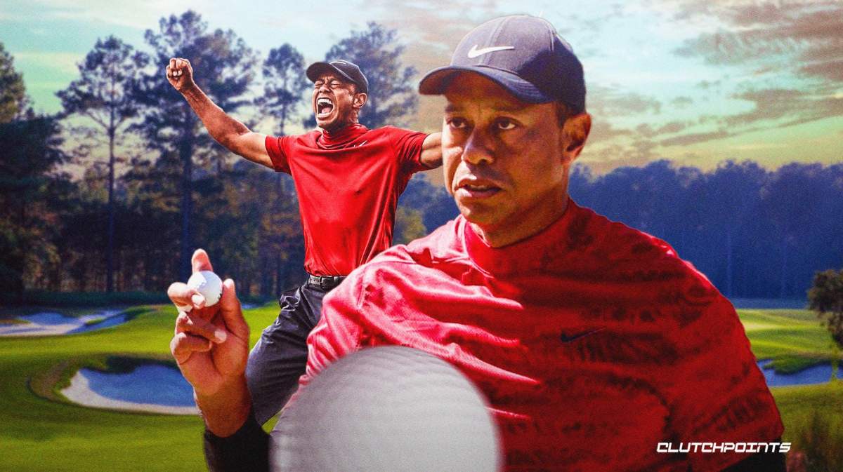 tiger woods, pga tour, tiger woods pga tour, tiger woods player director, pga tour board