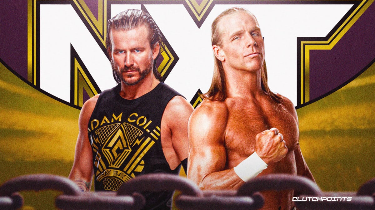 Watch shawn michaels heartbreak and triumph online on sale free