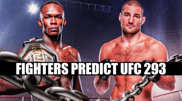 UFC 293, Israel Adesanya, Sean Strickland
