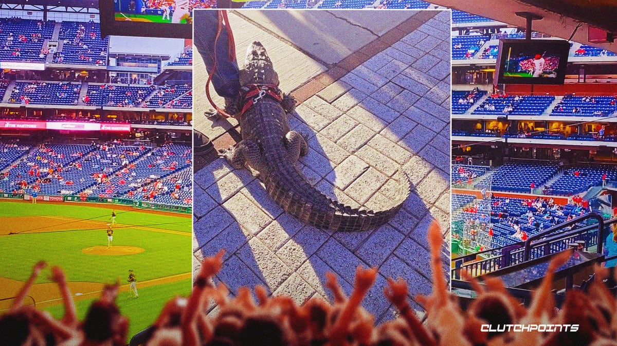 Phillies fan alligator Citizens Bank Park