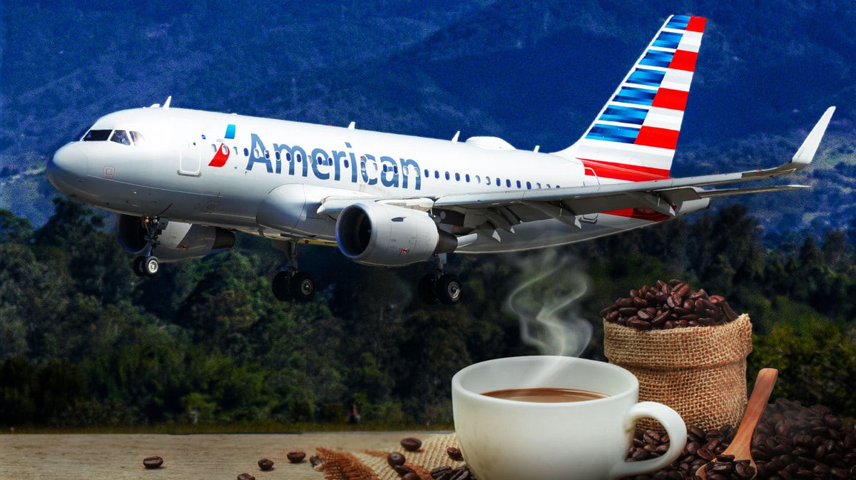 An American Airlines plane with a mug of coffee.
