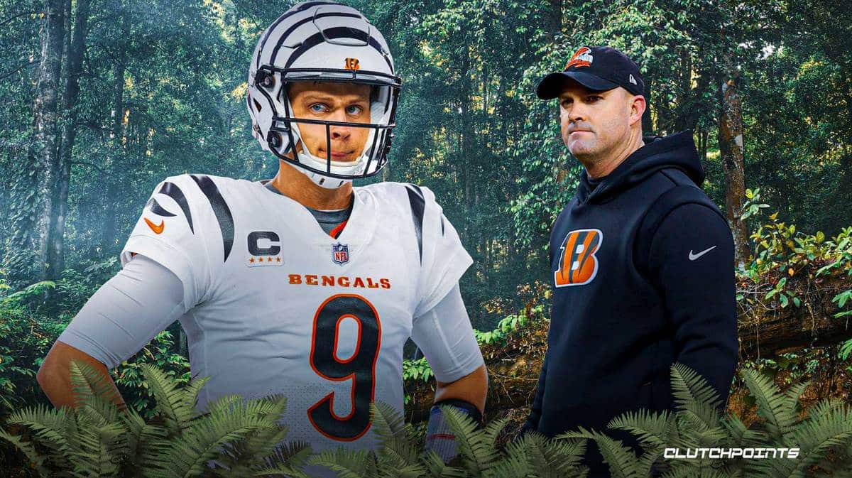 Joe Burrow, Bengals, Joe Burrow Bengals, Cardinals